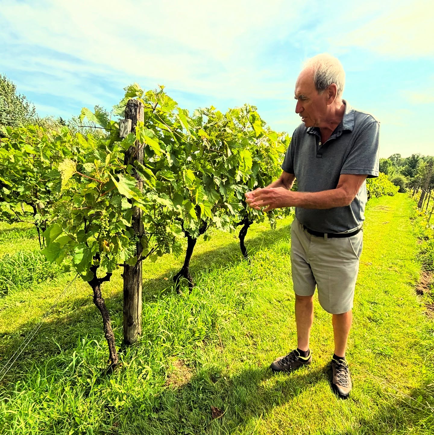 AU VIGNOBLE D'ORFORD | LA GRANDE-COULÉE 2023 | VIN ROSÉ SEC | 750 ML