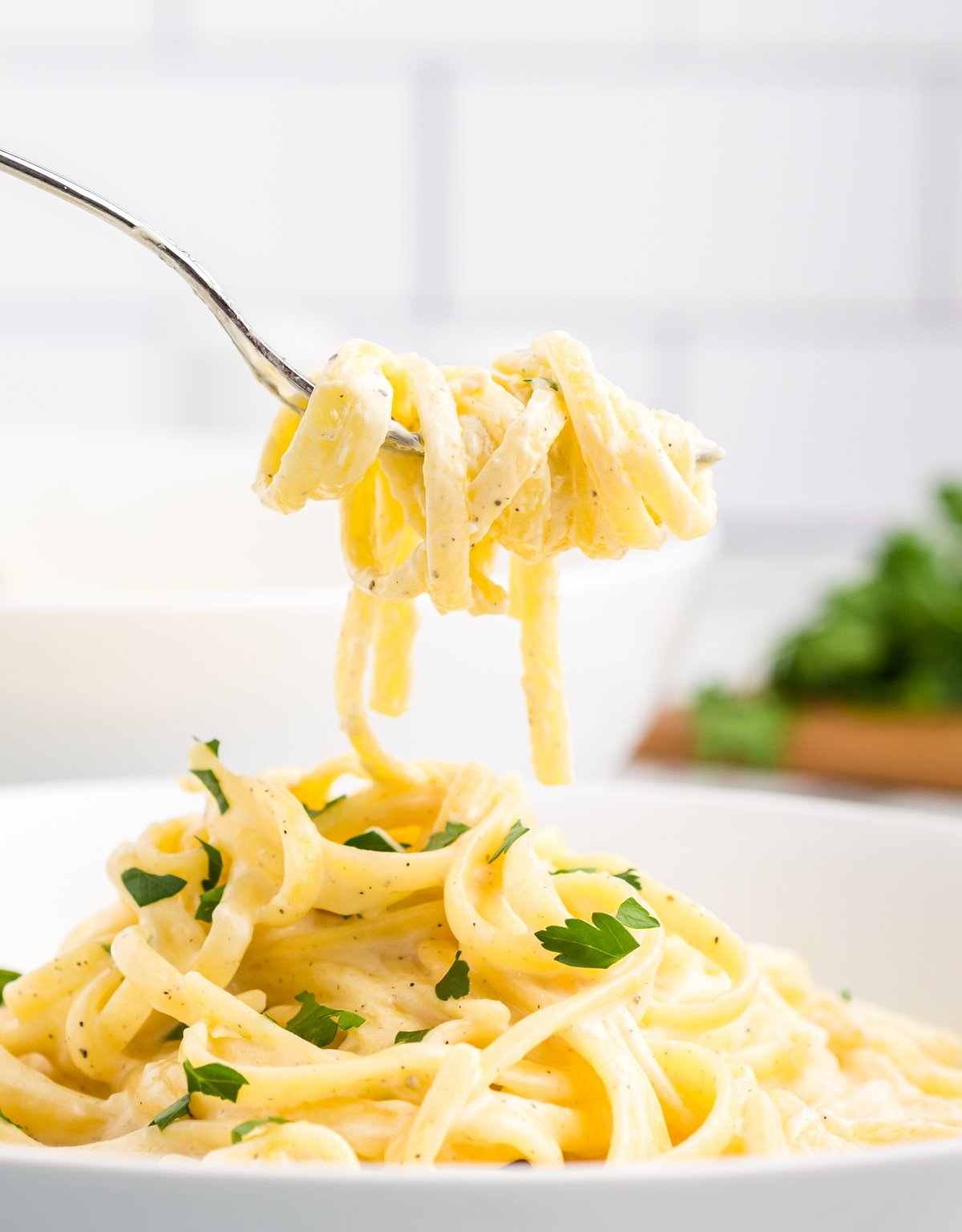 SAUCE ALFREDO | 1 LITRE