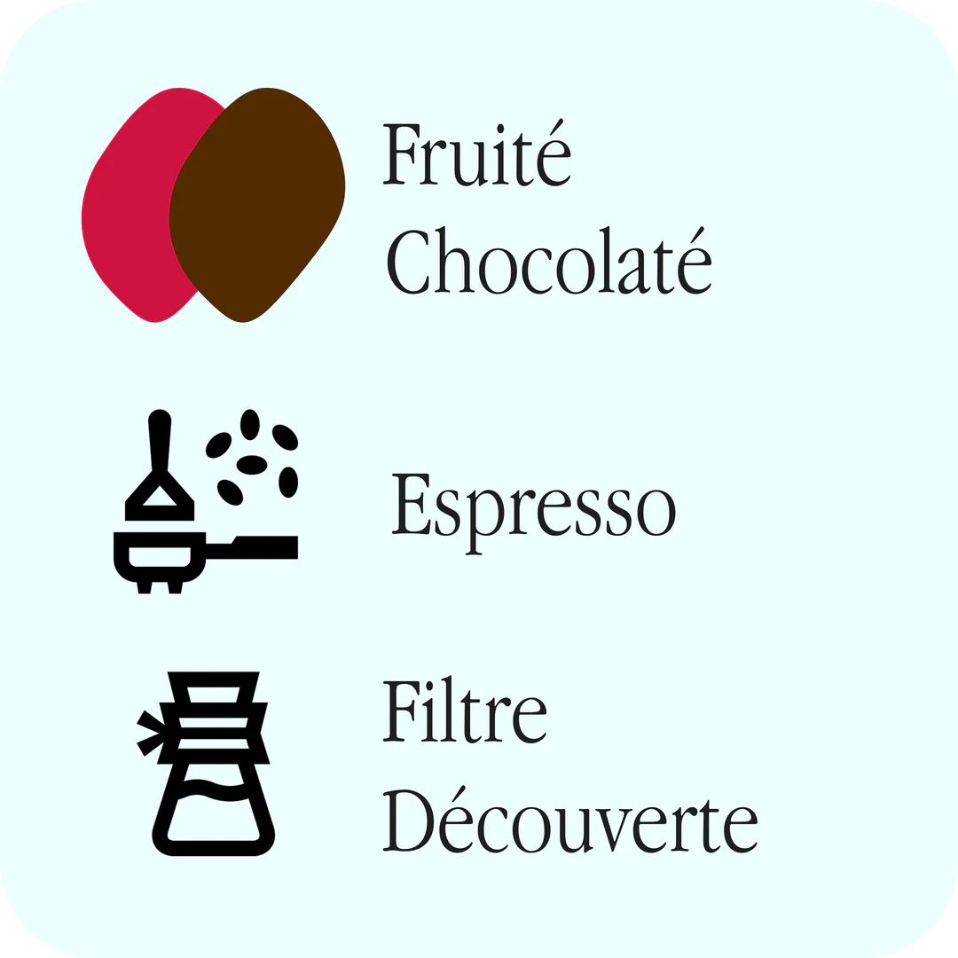 CAFÉ EN GRAINS APPALACHES | GUATEMALA HUEHUETENANGO | ÉCO RESPONSABLE | 340 GR