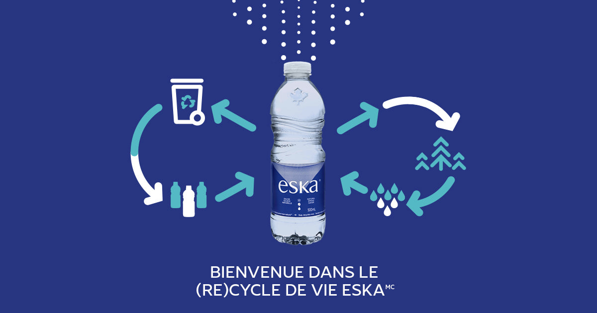 ESKA BOTTLED WATER | 330 ML