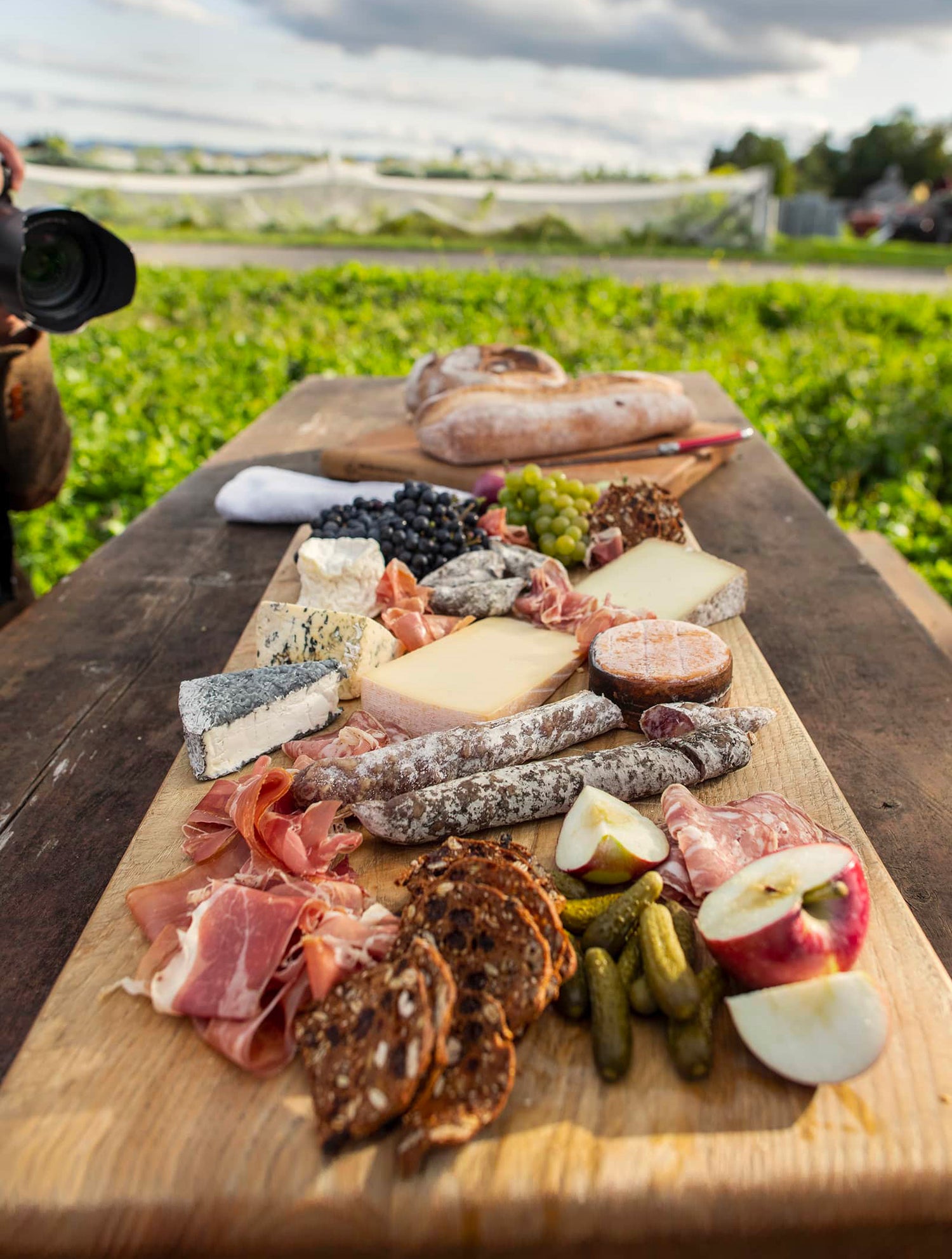 PLATEAUX FESTIFS