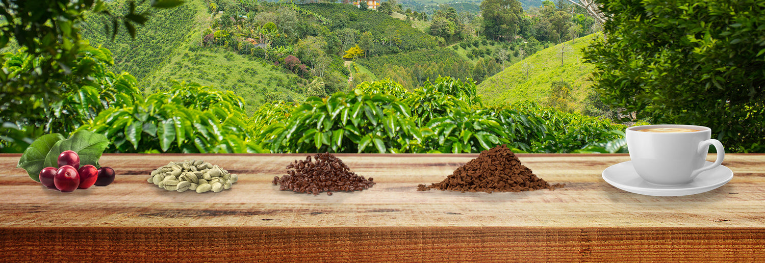 CAFÉS EN GRAINS & MOULUS