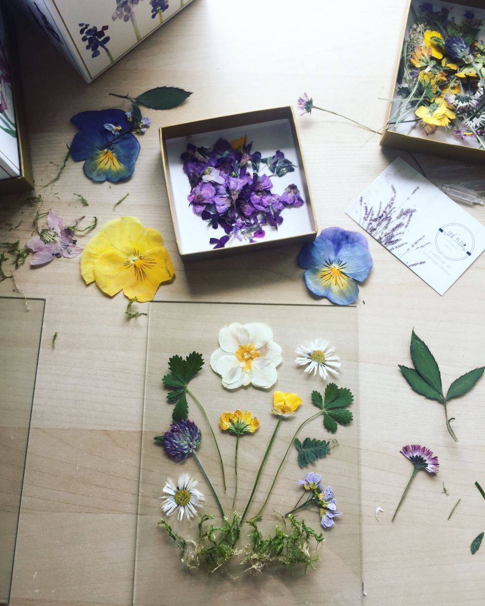 ATELIER "CARTE DE SOUHAITS ET BOULE DE NOEL FLEURIES" | MATÉRIEL +BOISSON CHAUDE INCLUS