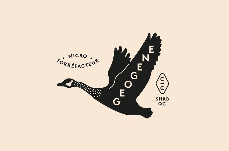 3RD WAVE GEOGENIC COFFEE BEANS | SPECIAL BLEND "COFFEE FROM THE CANTONS" | 340 GR