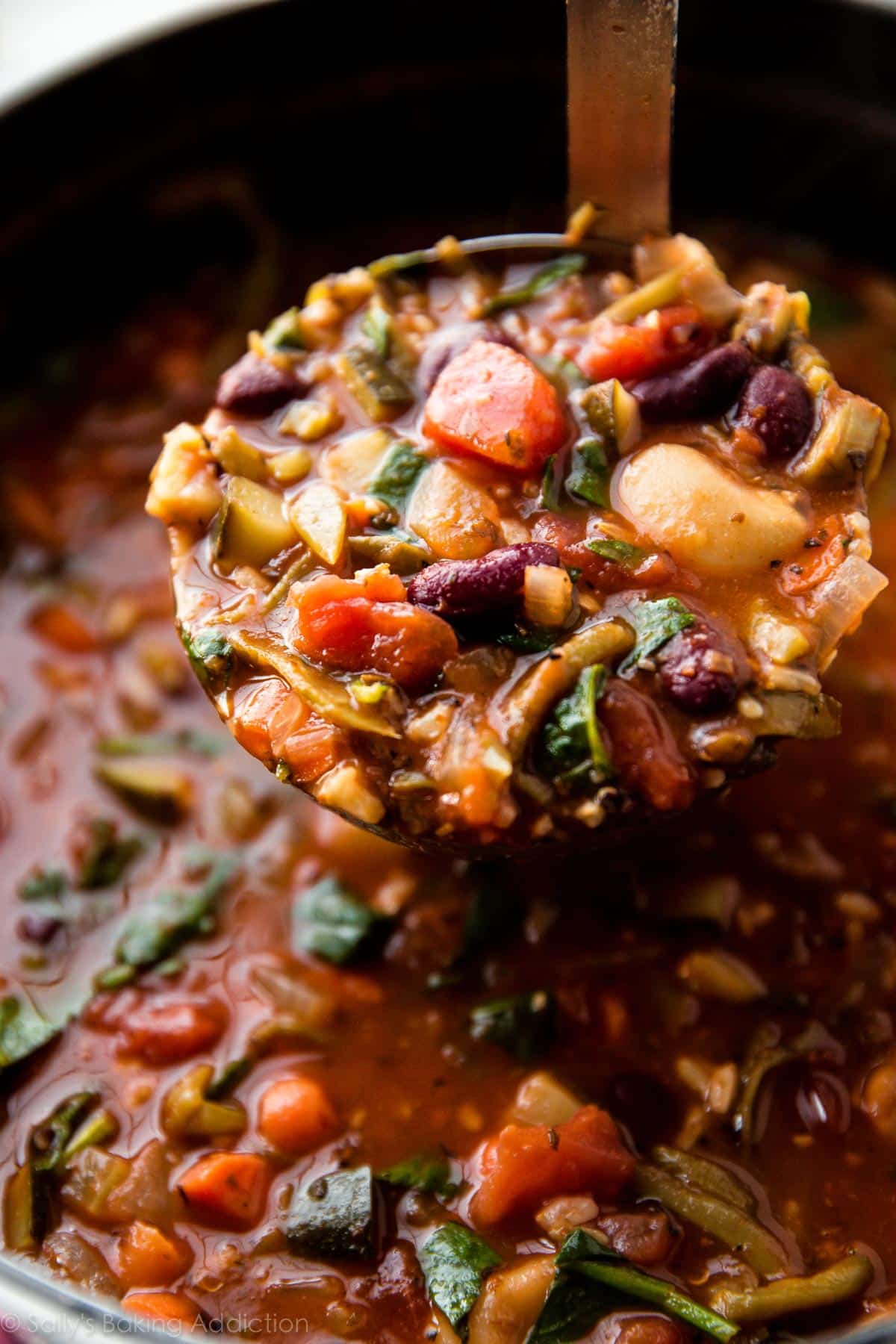 POTAGES & SOUPES | MINESTRONE | 1 LITRE